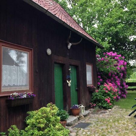 Вілла Reiterhof Winandy Вітцендорф Екстер'єр фото